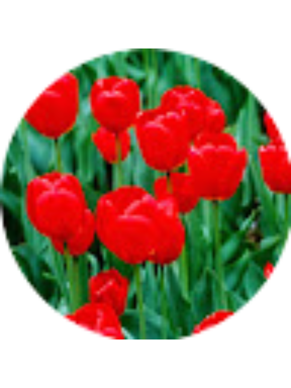 Photo of Silvia Martinez