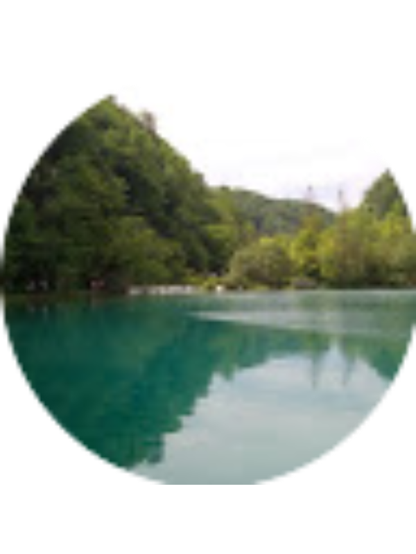 Photo of Natasa Gascic