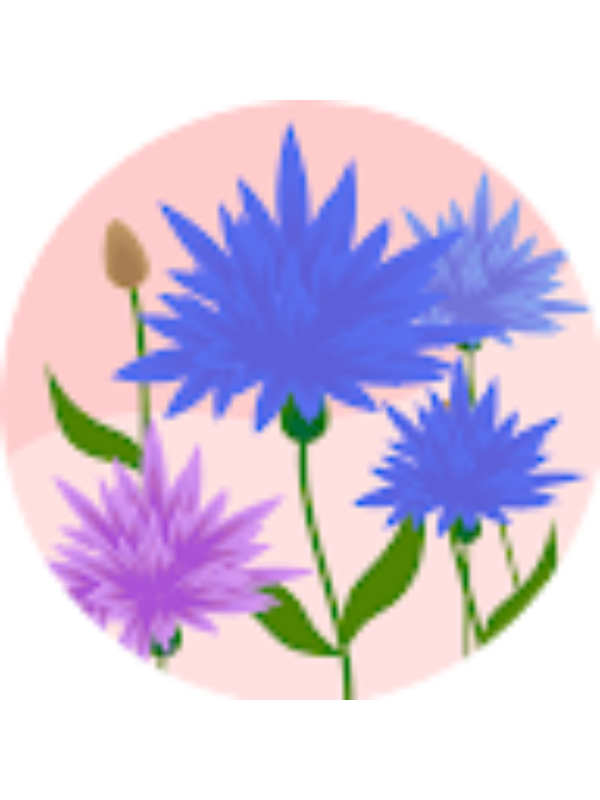 Photo of Genesis Martinez