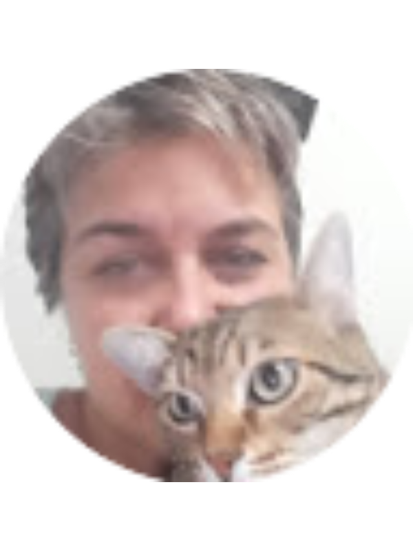 Photo of Saadet inci Soylu