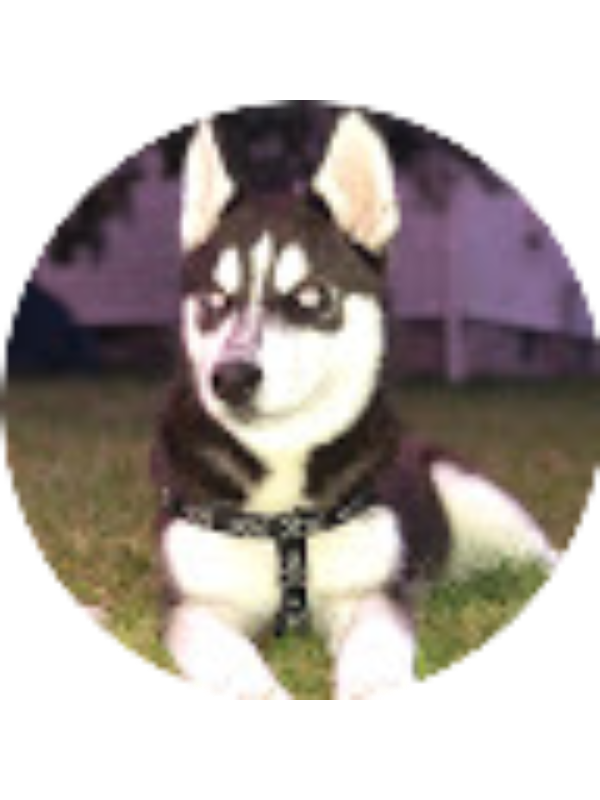 Photo of Abigail Fitzpatrick