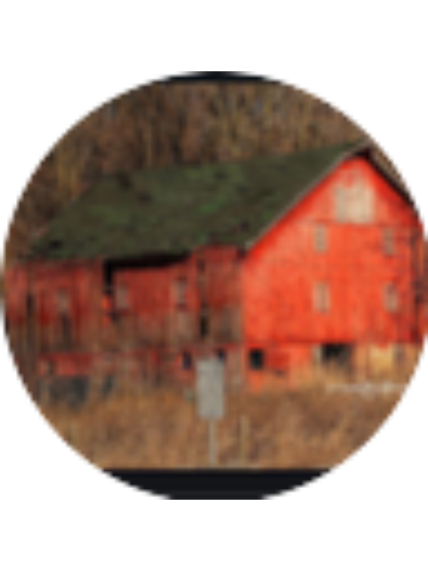 Photo of HAYLEY BRIESE