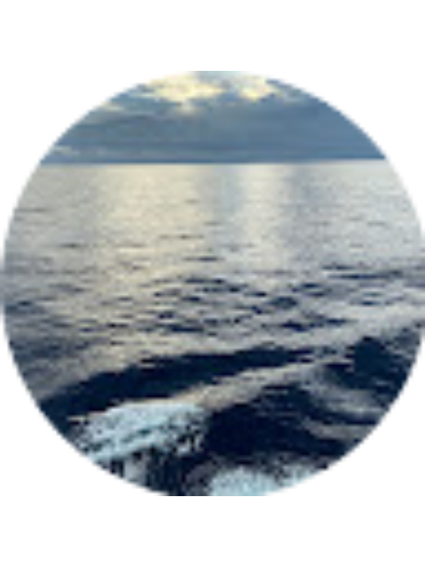 Photo of Indu Gadiraju