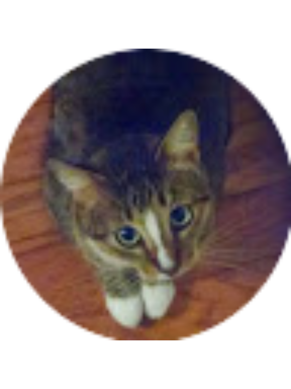 Photo of Tessa Melson