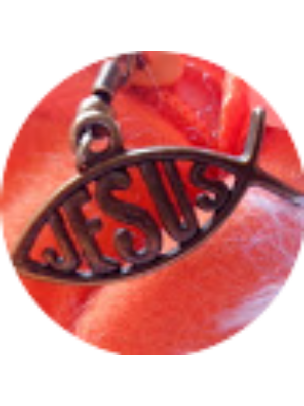 Photo of Clarisa Torres