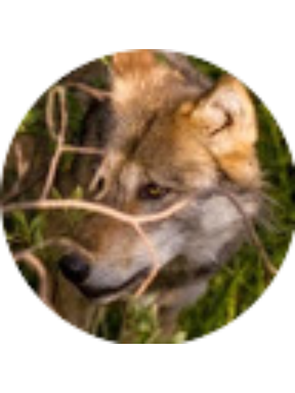 Photo of Julia Powers