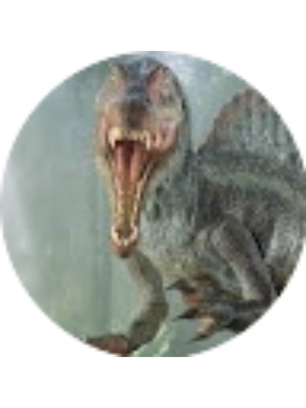 Photo of Tony Morales Caballero