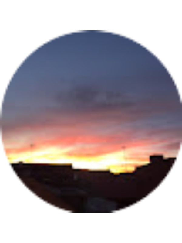 Photo of PATRICIA CASTELLANOS SÁNCHEZ