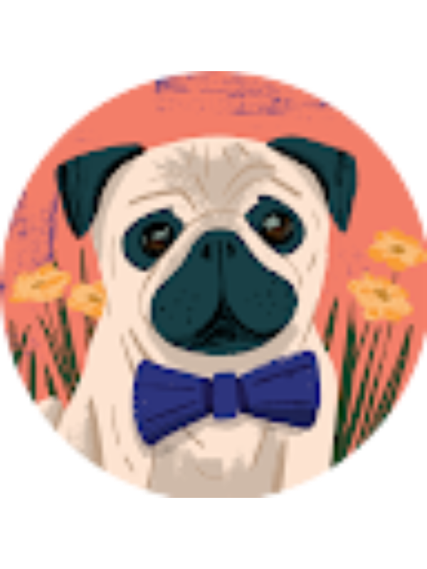 Photo of Daniel Partal Trillo