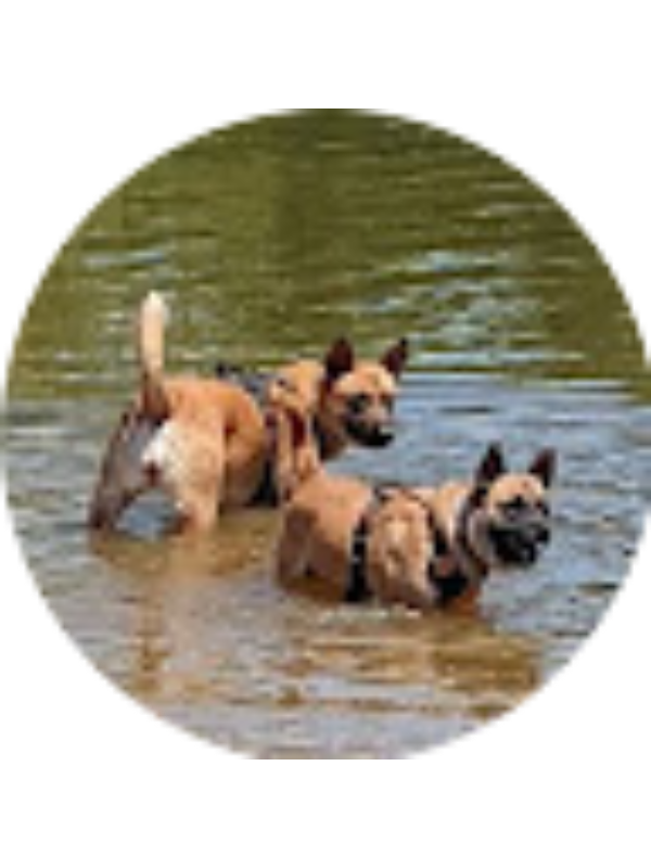 Photo of Kerry Cutrell