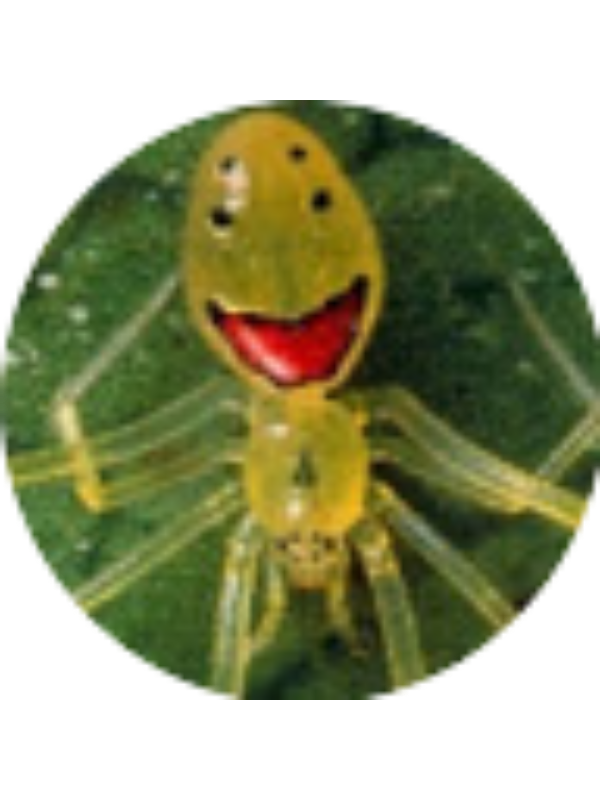 Photo of Adan Little