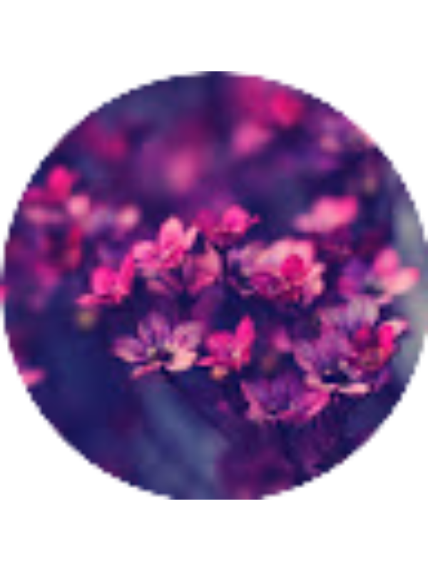 Photo of Brenda Neponoceno