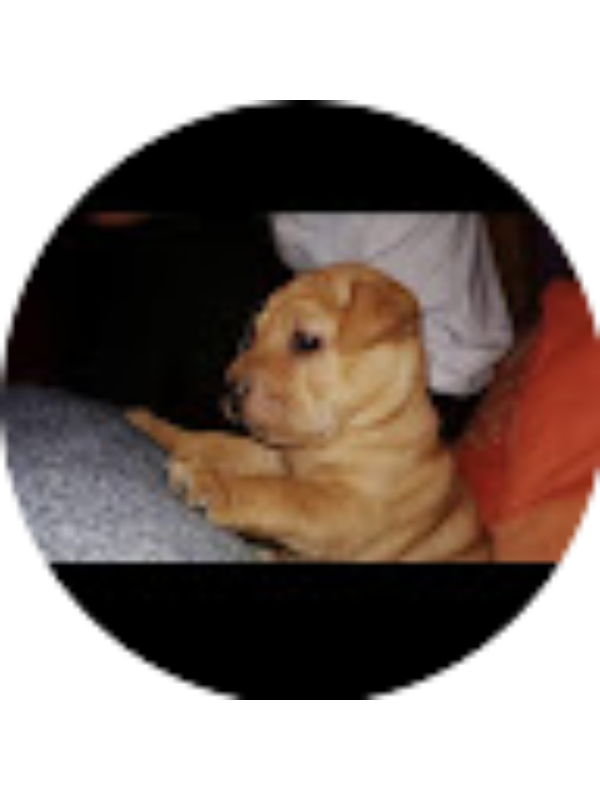 Photo of Gabriela Vallejo