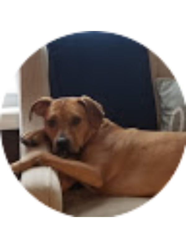 Photo of Brooke Koenig