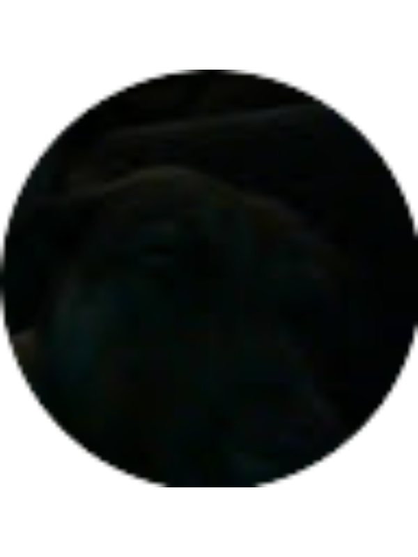 Photo of KYLIE SCHULTZ