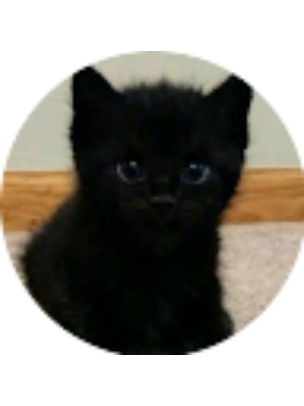 Photo of VALLEJO SANGUANO BRITANY-10K