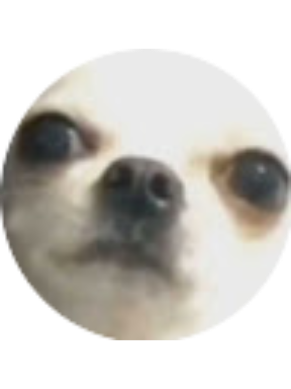 Photo of Laura Anghel