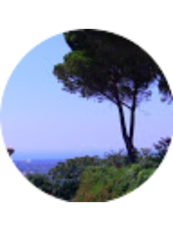 Photo of Laura Frattini