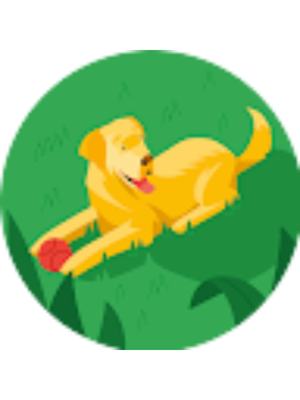 Photo of ANNE ELIZABETH WARNER