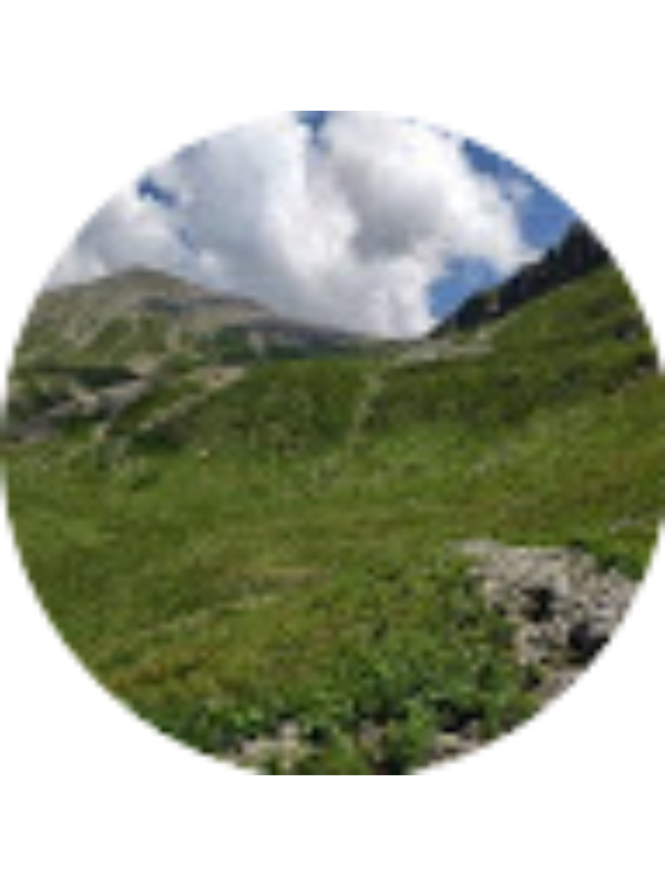 Photo of G&ouml;khan &Ouml;.