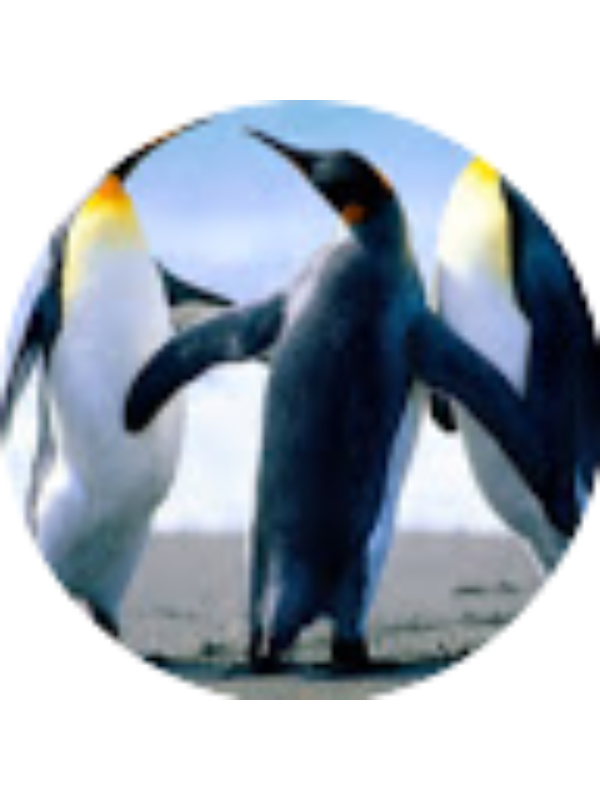 Photo of Tyler Dunnavent