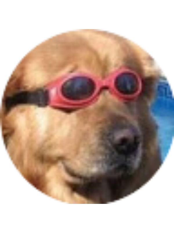 Photo of Matthew Alonso