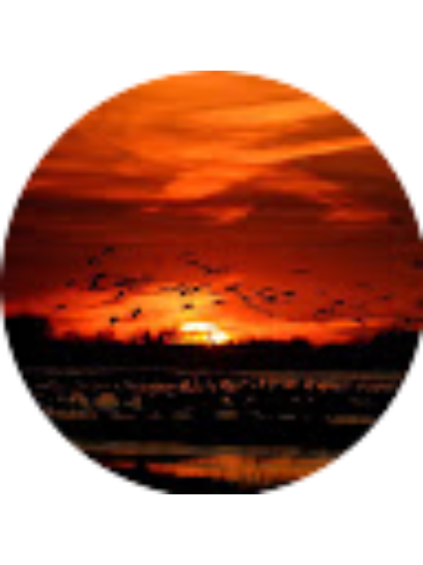 Photo of Lizbeth Cruz Guzman