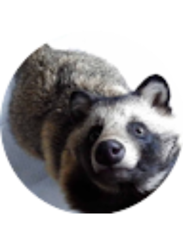 Photo of Drew Wojnowiak