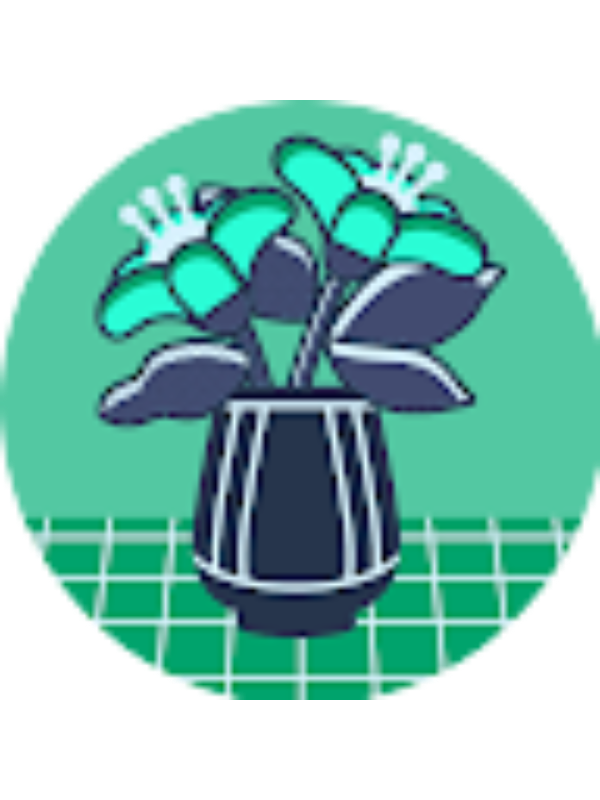 Photo of Lirio Venus Saavedra Maqquerhua