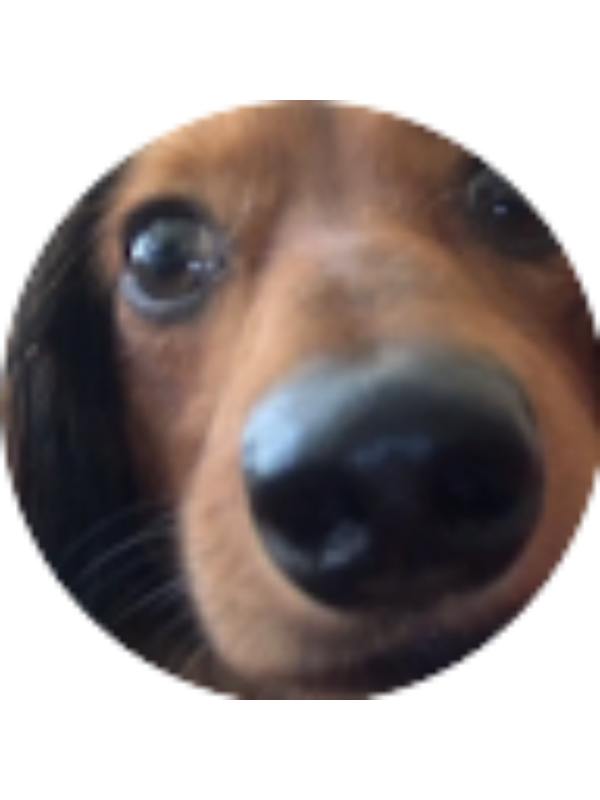 Photo of Caitlin Fulton