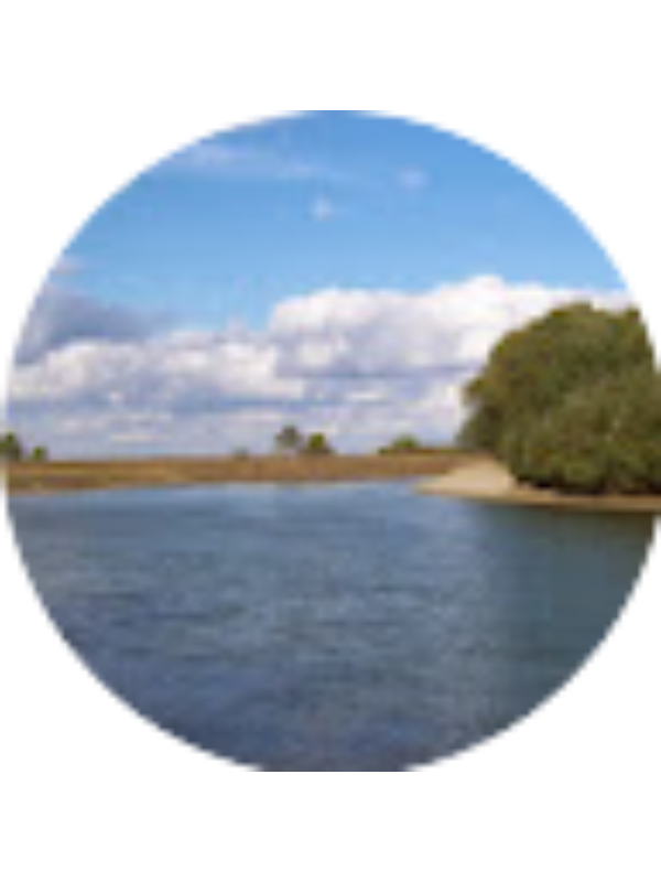 Photo of Aliona Teajco