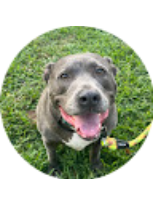 Photo of Avah Binczik