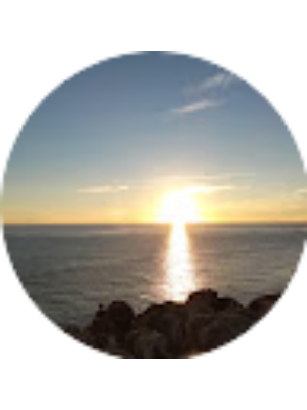 Photo of Tiago Gomes