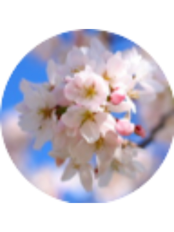 Photo of Lucia Martel