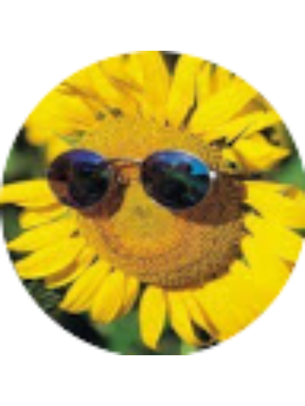 Photo of Sevda Baydar