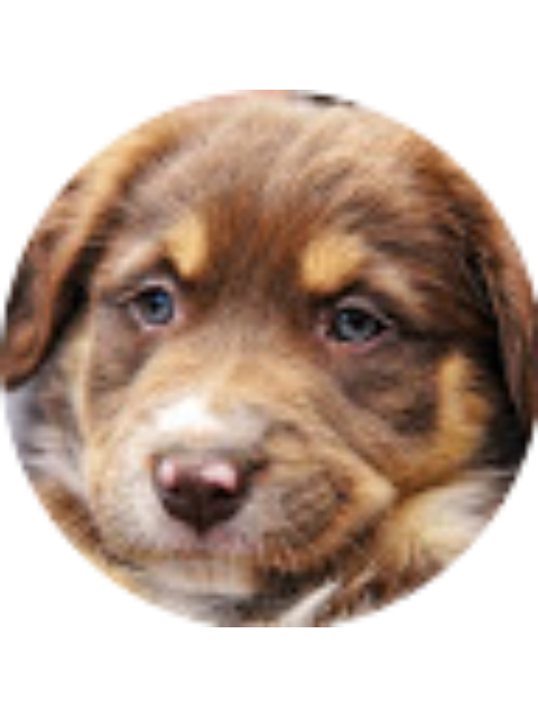 Photo of Anabelle Barahona