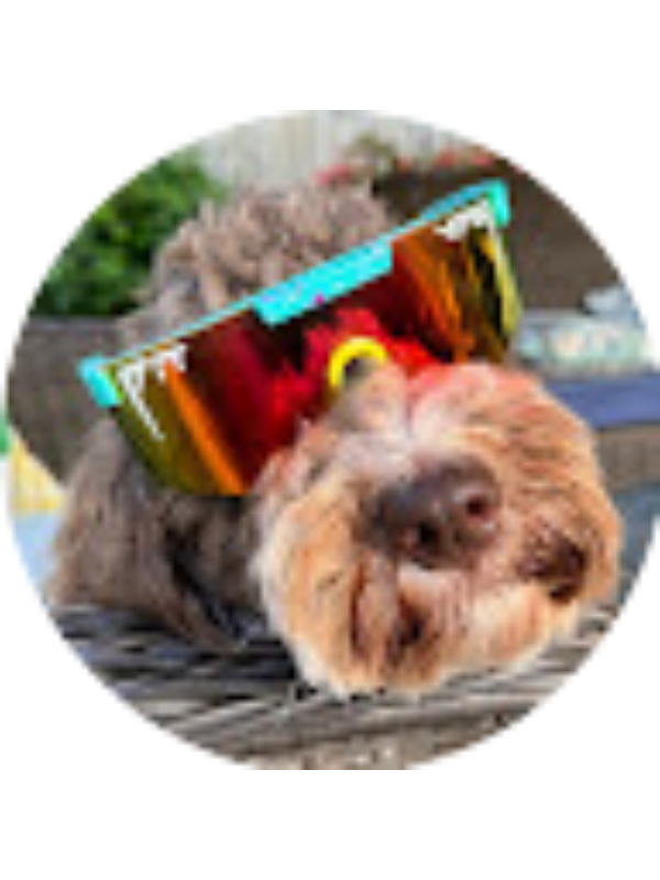 Photo of MADELINE MASSIE