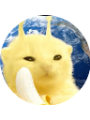 Picture of Nha Ly Tran