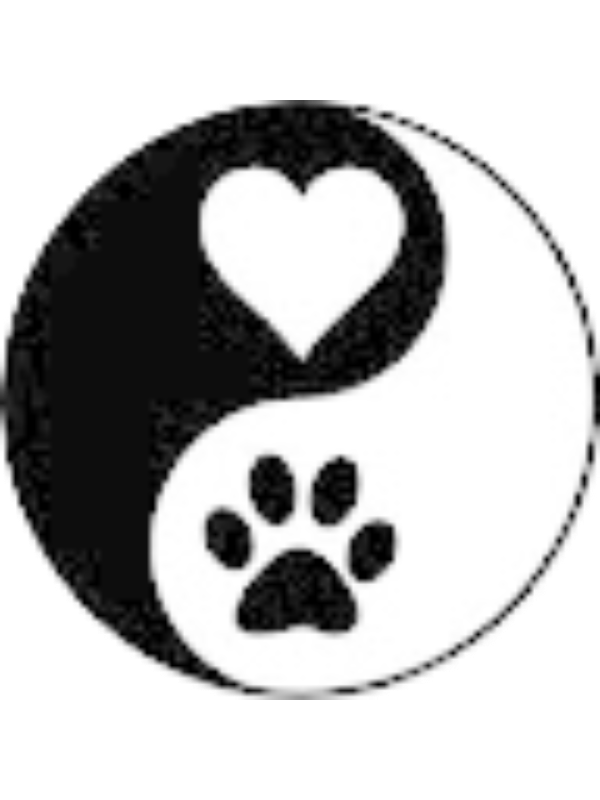 Photo of Isabella Desiderio