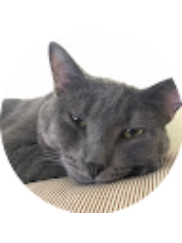 Photo of Diana Prince