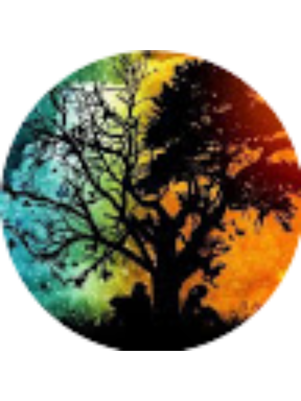 Photo of Susana Vidal