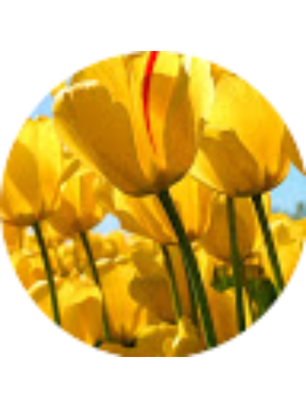 Photo of Djenaba Tal