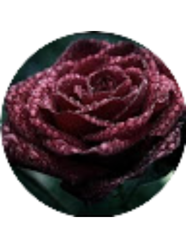 Photo of Inner Demons