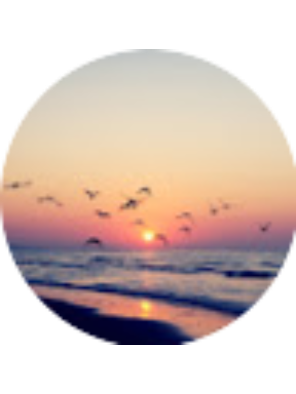 Photo of Claire Leingang