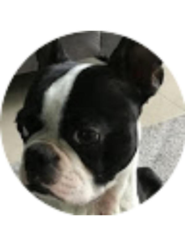 Photo of Los Papus-Minecraft-BrawlStars-Fortn