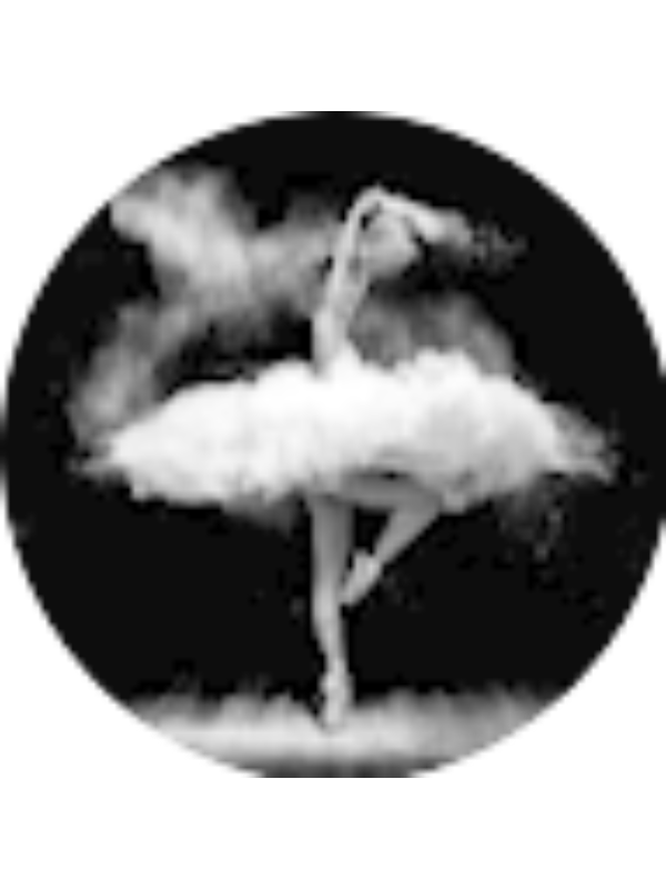 Photo of Abigail Giaffoglione