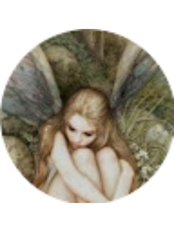 Photo of Rainbow Snake