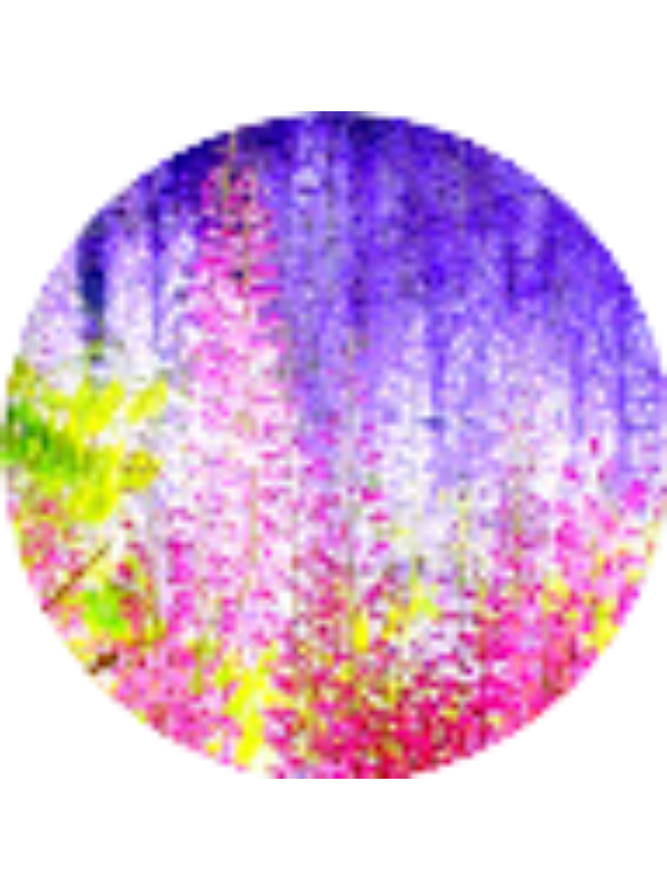 Photo of Sajidah Hamidi