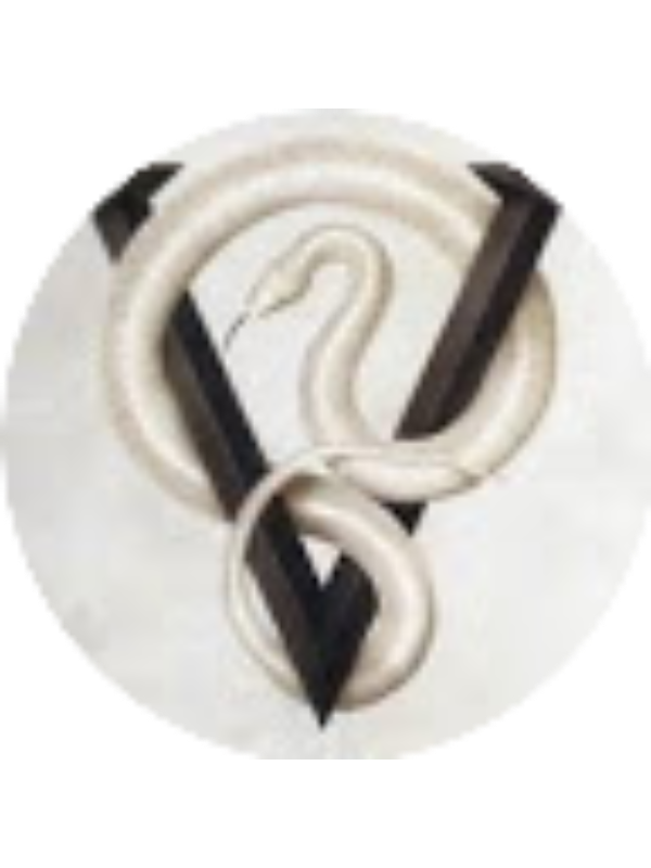 Photo of Connor Kirby