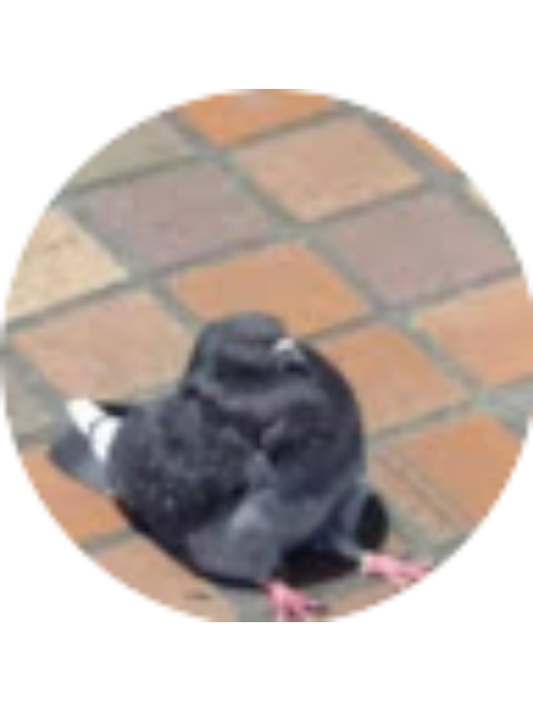 Photo of GABRIELA SUAREZ MARTINEZ